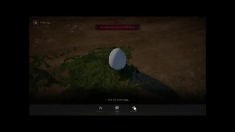 BDO - Chicken Flies the Coop Quest