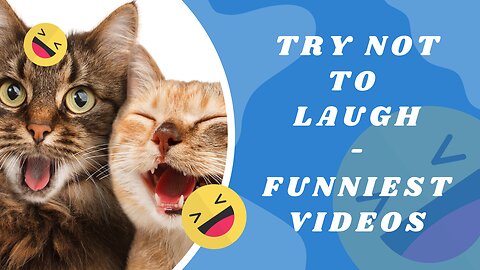 Try Not to Laugh - Cats and Dogs Funniest Video 2023