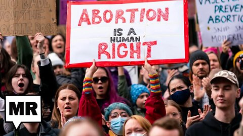 Michigan Abortion Amendment BLOCKED By State Board