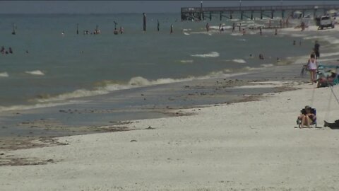 Visitors spot brown, discolored water at some Pinellas County beaches