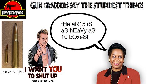 Gun Grabbers Say the Stupidest Things: Rep. Sheila Jackson Lee.