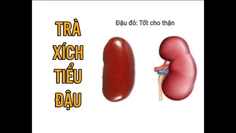 Trà xích tiểu đậu - đậu đỏ hạt nhỏ (adzuki bean tea)