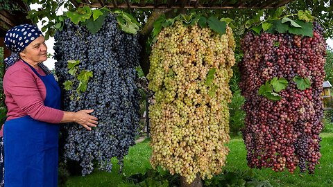 EXTREM ENSTPANNEND : Weinlese und Zubereitung zu Marmelade...