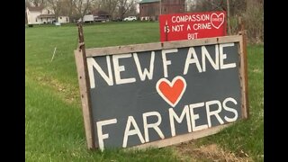 Niagara County Sheriff alerting farm owners to stay vigilant against animal activists