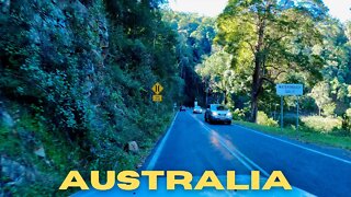 Springbrook Mountain Drive 4K - Queensland | Australia