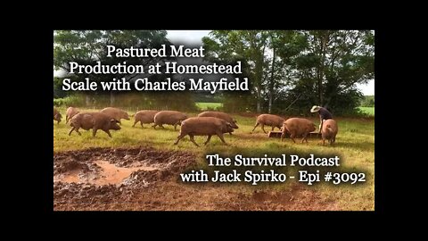 Pastured Meat Production at Homestead Scale - Episode 3092 - The Survival Podcast