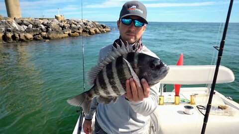 How to Catch Sheepshead - Feeling Sheepish at the Tampa Bay Skyway Bridge