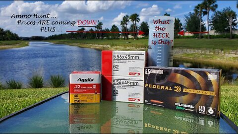 Ammo prices ARE coming down. G44 22LR first rounds & Something that goes BOOM!