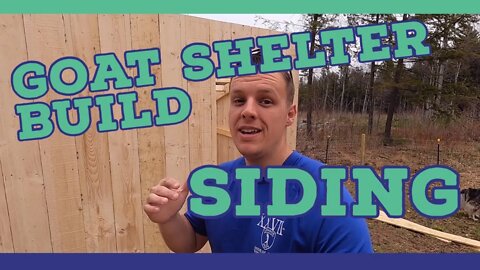 DIY 8X10 Goat Shelter Build |Siding| |Nigerian Dwarf Goats|