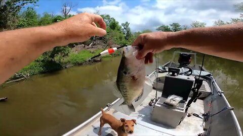 Spawning creek crappie limit, on slip float and jig, crappie fishing no electronics