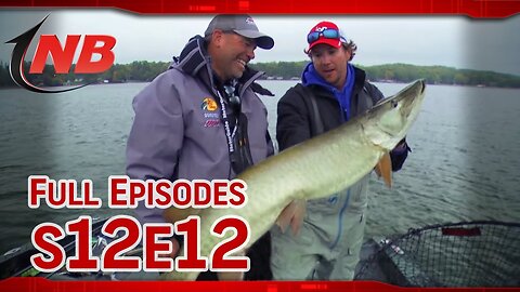 Minnesota Lakes Region Muskies (S12E12)