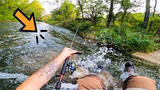 Swimming While Trout Fishing