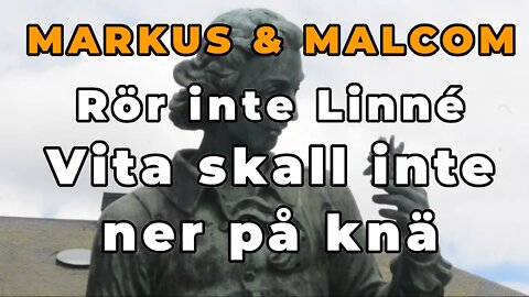 Markus & Malcom: Rasismen är mot vita i Sverige