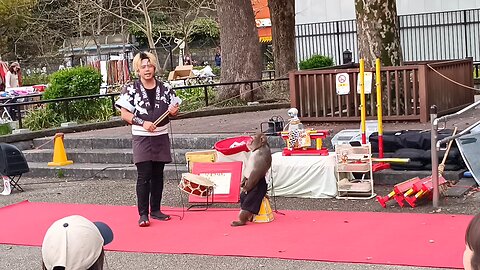 Monkey Show part 1 at Ueno Park