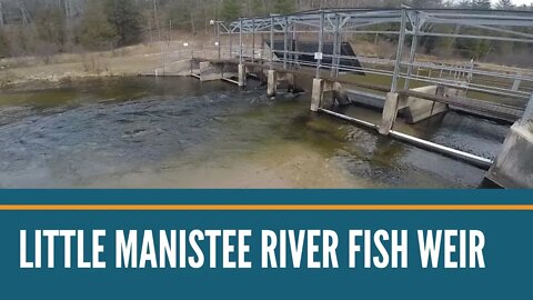 Little Manistee River Fish Weir Visual Overview / Our First Time On The Little Man / We got skunked