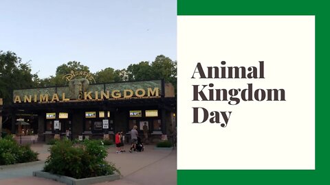 My Short Animal Kingdom Day