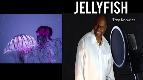 Trey Knowles - Jellyfish