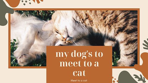 When Dogs Meet Cat: An Adorable Encounter" My dogs meet a cat