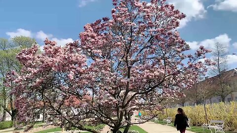 jubilejni park Znojmo 22.4.2023