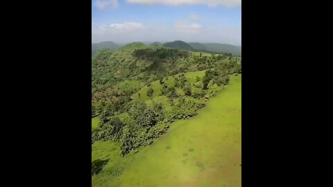 Hawk takes out quadrocopter that invaded its territory