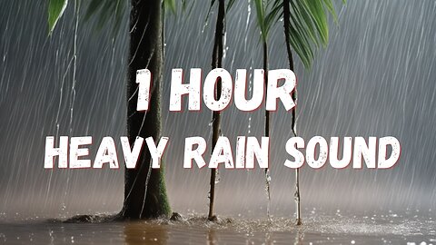 1 Hour for Heavy Rain Sounds for Sleeping | Sleep and Meditation | Calm Nature Sounds #studymusic