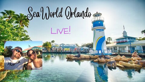 SeaWorld Mardi Gras and Seven Seas Food Festival