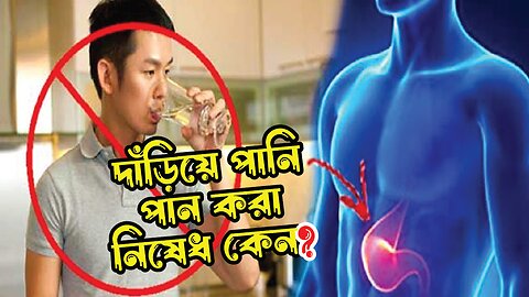 Why is it forbidden to drink water while standing? দাঁড়িয়ে পানি পান করা নিষেধ কেন? |#Expert Info 24