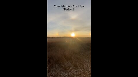 Your Mercies Are New Today