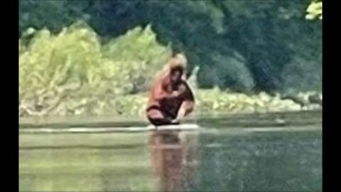 Photo Of Bigfoot Carrying A Cub Across The River In Michigan Paranormal News