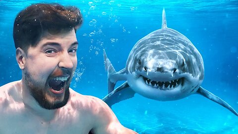 Would You Swim With Sharks For $100,000? MrBeast