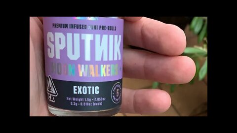 SPUTNIK Exotic Moon Walkers Infused Joints