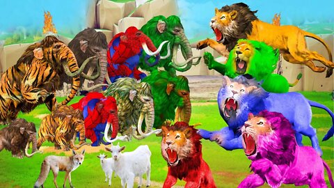 10 Zombie Lions vs 10 Zombie Mammoth saves Goat Fox Elephant Animal Fight Mammoth Saves Elephant