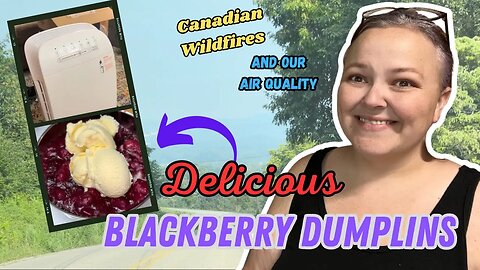 Southern Blackberry Dumplins || Easy To Find Recipe || Membrane Solutions Smart WiFi Air Purifier