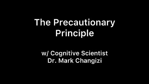 The Precautionary Principle