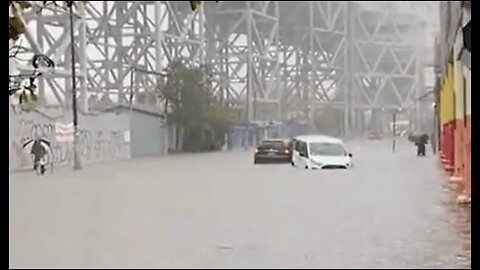 Wild Moments from the Massive Flooding in NYC, As Even a Zoo Sea Lion Went for a Jaunt