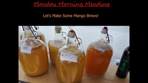 Monday Morning Meading | Let's Make Some Mango Mead