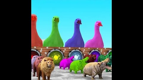 4 Giant Duck Cartoon,Tiger,Cow,rabbit,Gorilla,Hamsters,Dog,Cat Wild Animals Crossing Fountain 2023