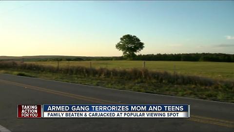 Family beaten and carjacked at popular viewing spot