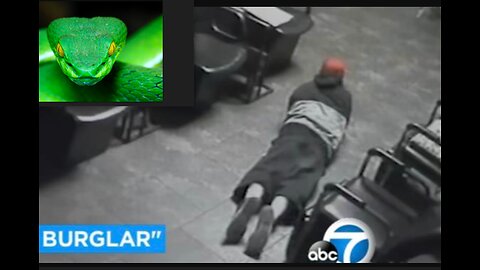 California Welcomes Criminals - The Snake Burglar