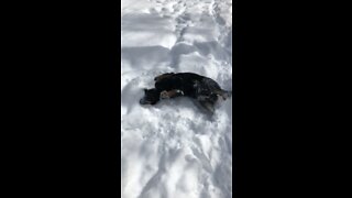 Snow angel