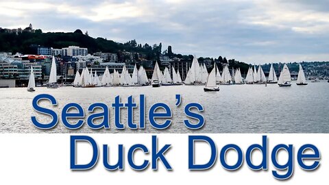 Seattle's Duck Dodge