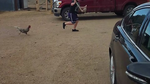 Kid gets chased by a rooster. So Funny.