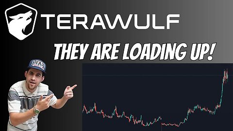 Terawulf Stock - Hedge Funds LOADING UP on Wulf Stock!