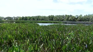 Green Cay Nature Center set for expansion