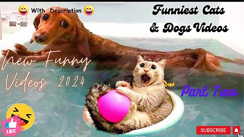 New Funny Videos 2024 😍 Funniest Cats & Dogs (Part Two)