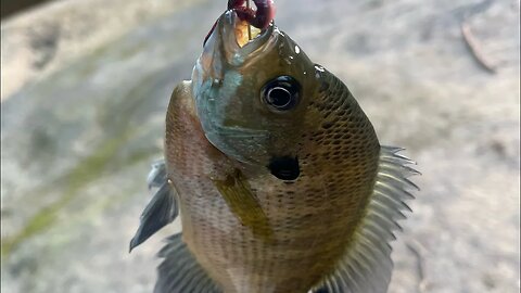 4th of July Fishing Adventure!