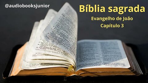 Bíblia Sagrada - Evangelho de João - Completo