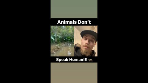 Jungle Justin Animals Don’t Speak Human!!!🦝🐊🦝