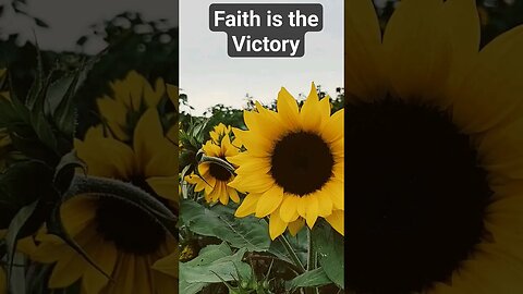 Faith is the Victory