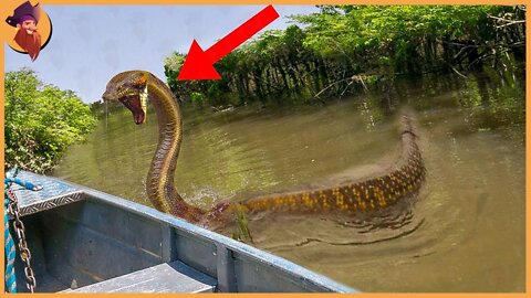 15 Deadliest Monsters Of The Amazon